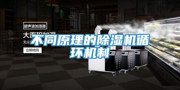 不同原理的除湿机循环机制