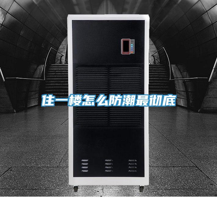 住一楼怎么防潮最彻底