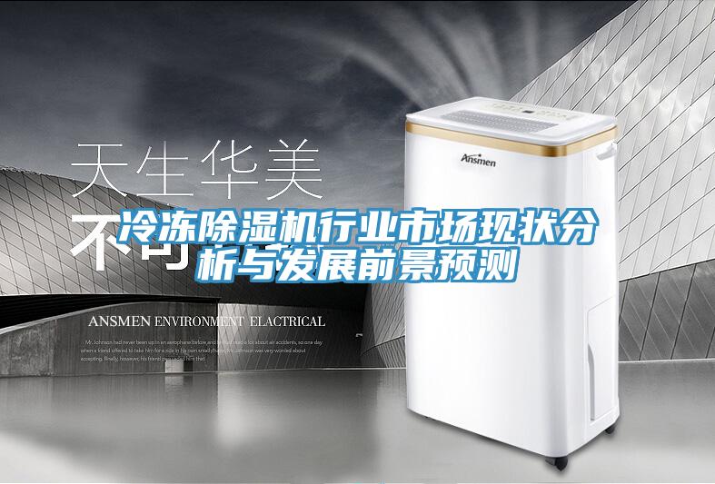 冷冻除湿机行业市场现状分析与发展前景预测