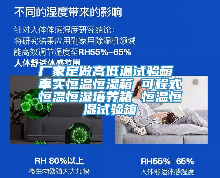 厂家定做高低温试验箱 奉实恒温恒湿箱 可程式恒温恒湿培养箱 恒温恒湿试验箱