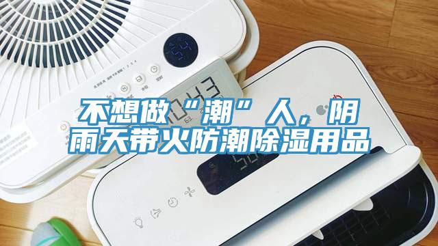 不想做“潮”人，阴雨天带火防潮除湿用品