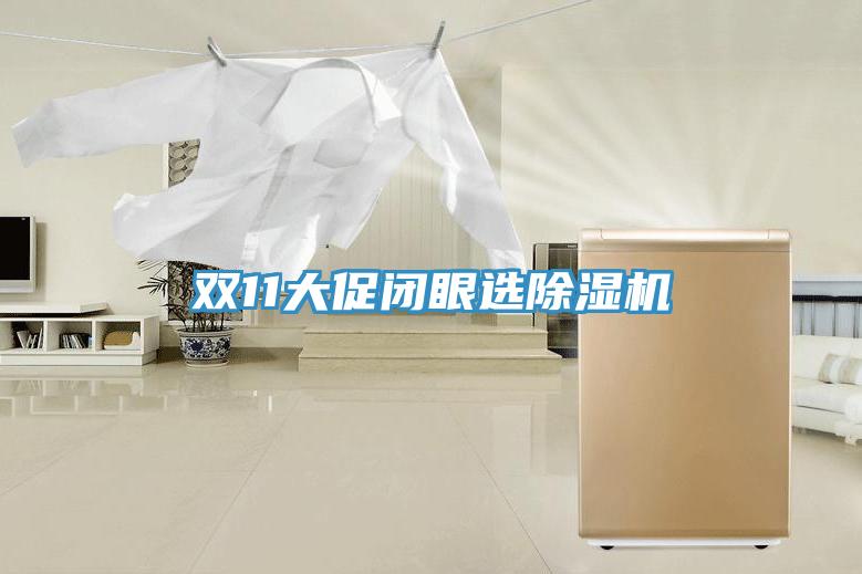 双11大促闭眼选除湿机