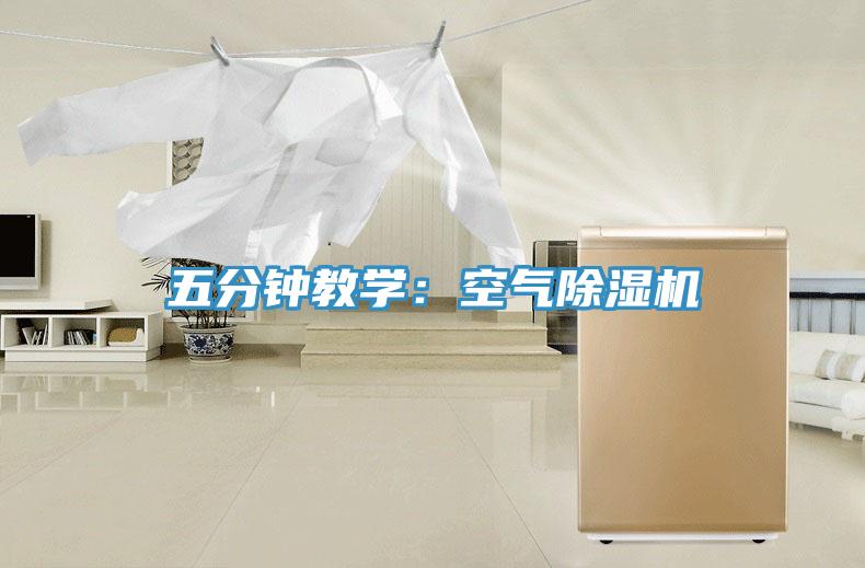 五分钟教学：空气除湿机