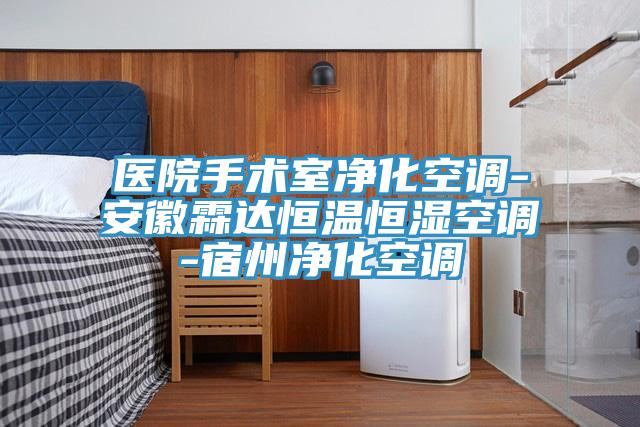 医院手术室净化空调-安徽霖达恒温恒湿空调-宿州净化空调