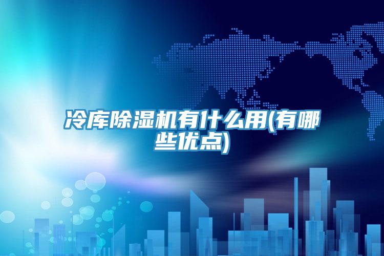 冷库除湿机有什么用(有哪些优点)