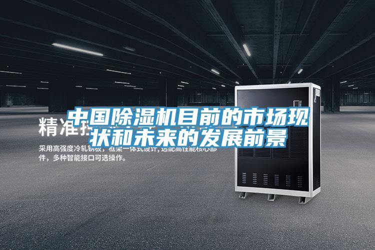 中国除湿机目前的市场现状和未来的发展前景