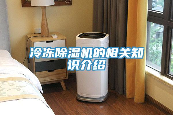 冷冻除湿机的相关知识介绍