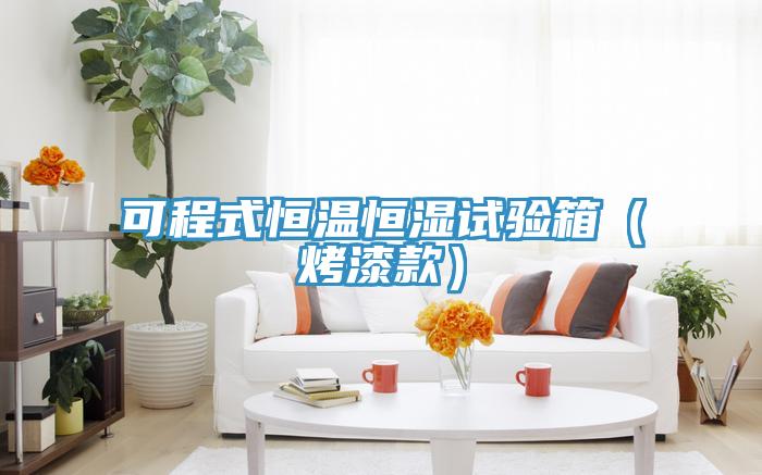 可程式恒温恒湿试验箱（烤漆款）