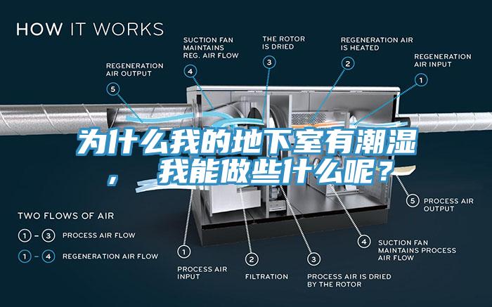 为什么我的地下室有潮湿， 我能做些什么呢？