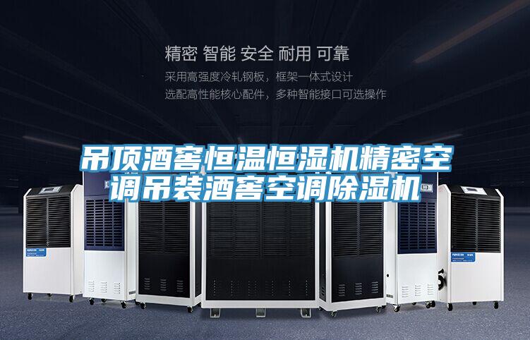 吊顶酒窖恒温恒湿机精密空调吊装酒窖空调除湿机