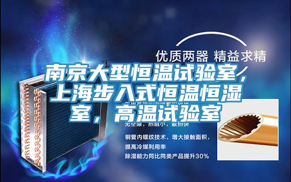 南京大型恒温试验室，上海步入式恒温恒湿室，高温试验室