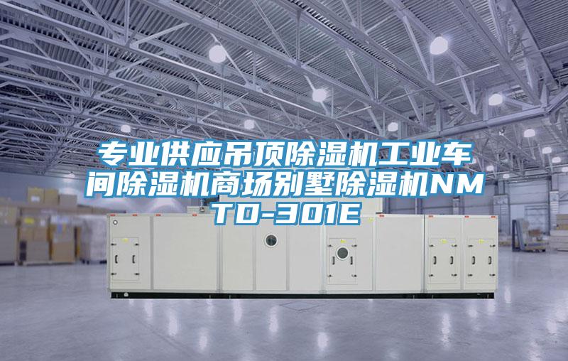 专业供应吊顶除湿机工业车间除湿机商场别墅除湿机NMTD-301E