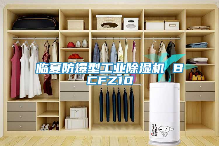 临夏防爆型工业除湿机 BCFZ10