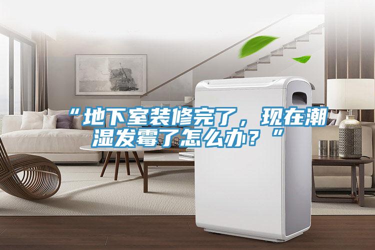 “地下室装修完了，现在潮湿发霉了怎么办？”