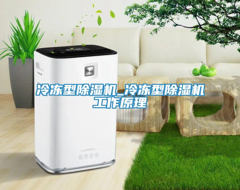 冷冻型除湿机_冷冻型除湿机工作原理