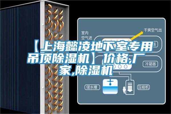 【上海懿凌地下室专用吊顶除湿机】价格,厂家,除湿机