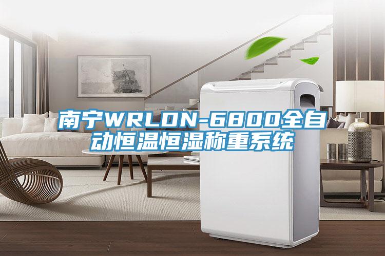 南宁WRLDN-6800全自动恒温恒湿称重系统