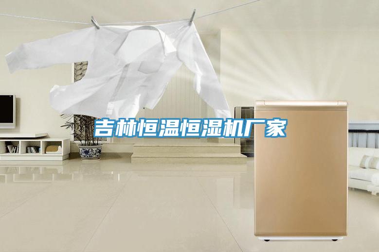 吉林恒温恒湿机厂家
