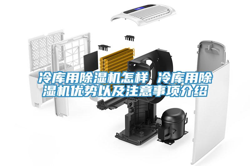 冷库用除湿机怎样 冷库用除湿机优势以及注意事项介绍
