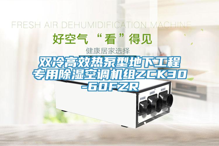 双冷高效热泵型地下工程专用除湿空调机组ZCK30-60FZR