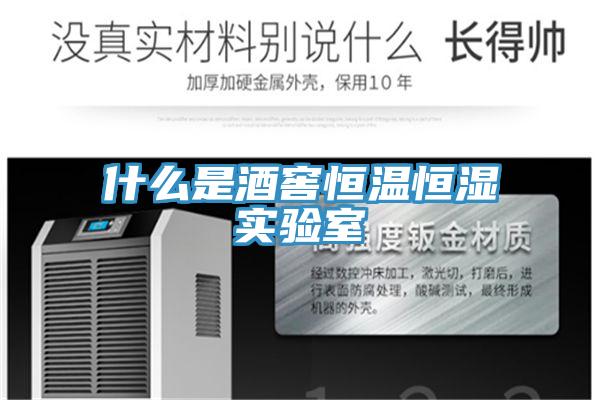 什么是酒窖恒温恒湿实验室