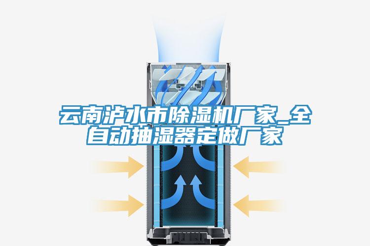 云南泸水市除湿机厂家_全自动抽湿器定做厂家