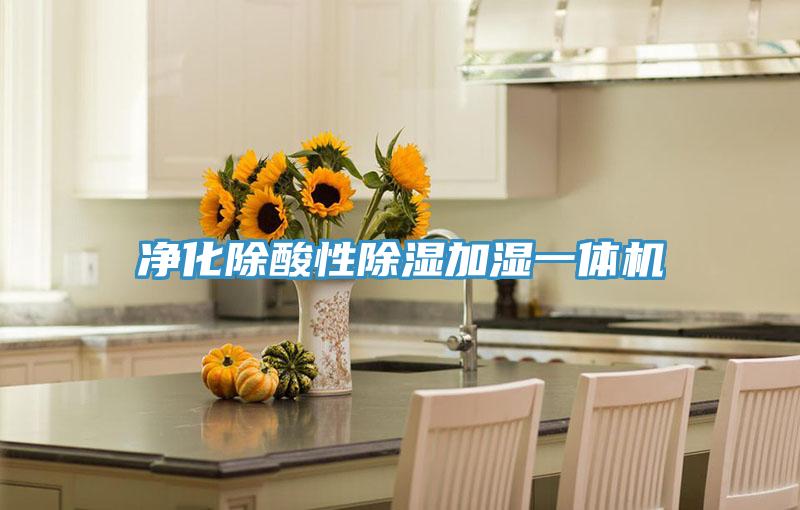 净化除酸性除湿加湿一体机