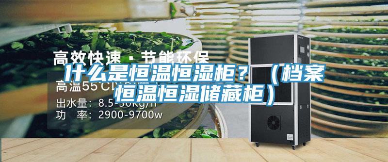 什么是恒温恒湿柜？（档案恒温恒湿储藏柜）