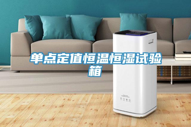 单点定值恒温恒湿试验箱