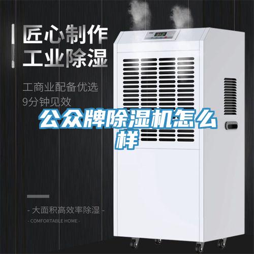 公众牌除湿机怎么样