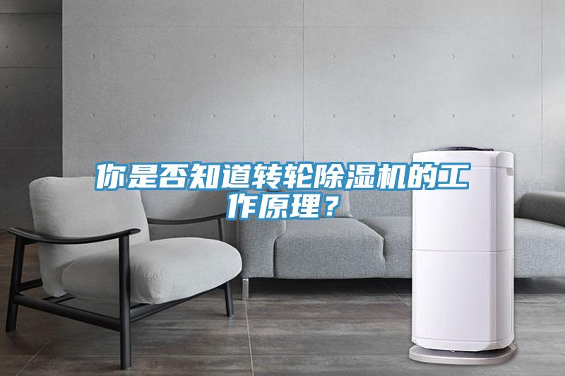 你是否知道转轮除湿机的工作原理？