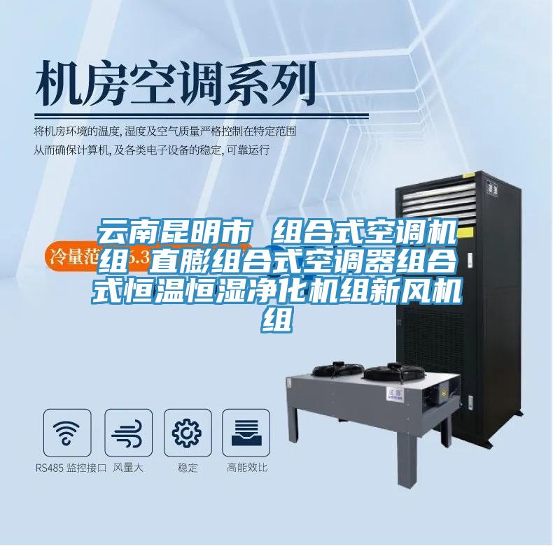云南昆明市 组合式空调机组 直膨组合式空调器组合式恒温恒湿净化机组新风机组