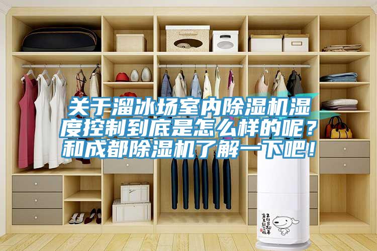 关于溜冰场室内除湿机湿度控制到底是怎么样的呢？和成都除湿机了解一下吧！