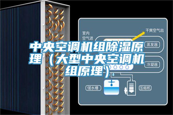 中央空调机组除湿原理（大型中央空调机组原理）