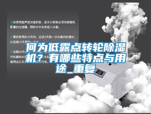 何为低露点转轮除湿机？有哪些特点与用途_重复
