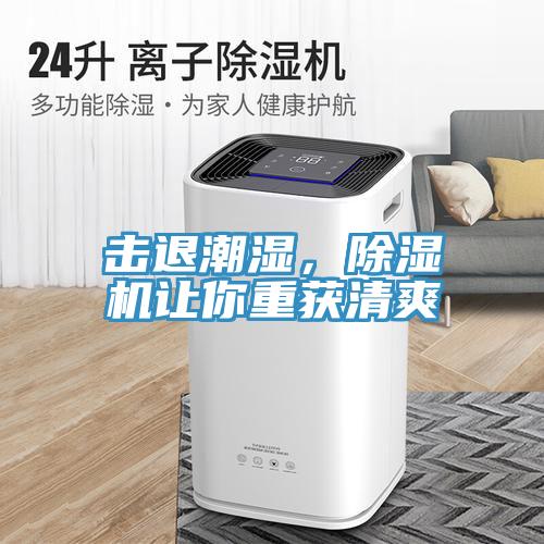 击退潮湿，除湿机让你重获清爽