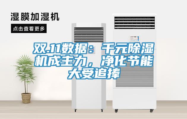 双.11数据：千元除湿机成主力，净化节能大受追捧