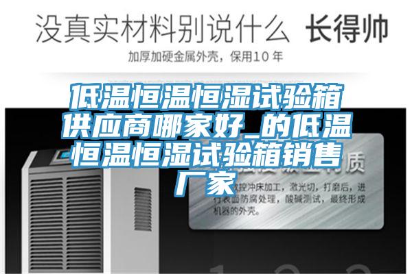 低温恒温恒湿试验箱供应商哪家好_的低温恒温恒湿试验箱销售厂家