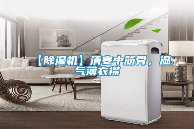 【除湿机】清寒中筋骨，湿气薄衣襟