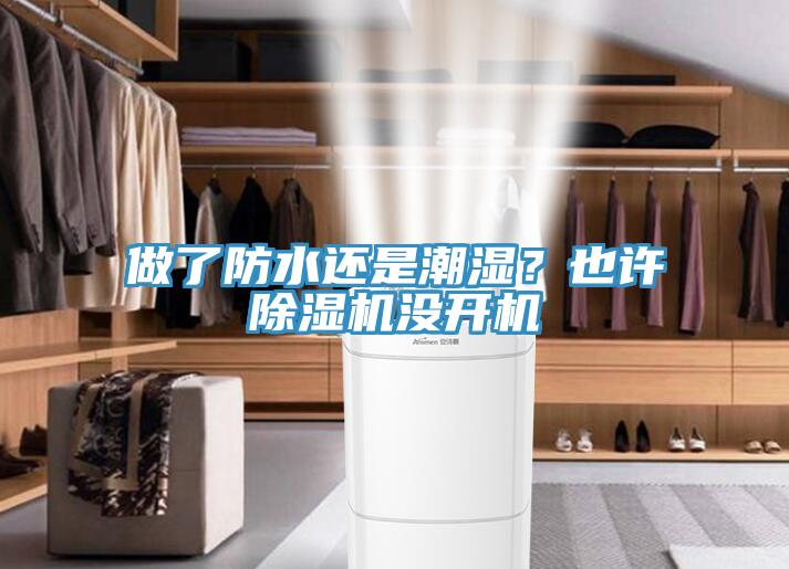 做了防水还是潮湿？也许除湿机没开机