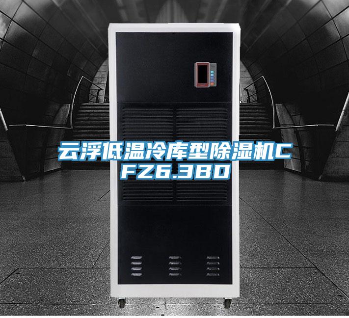 云浮低温冷库型除湿机CFZ6.3BD