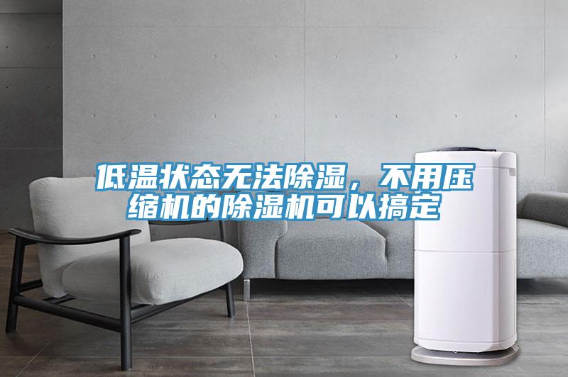 低温状态无法除湿，不用压缩机的除湿机可以搞定