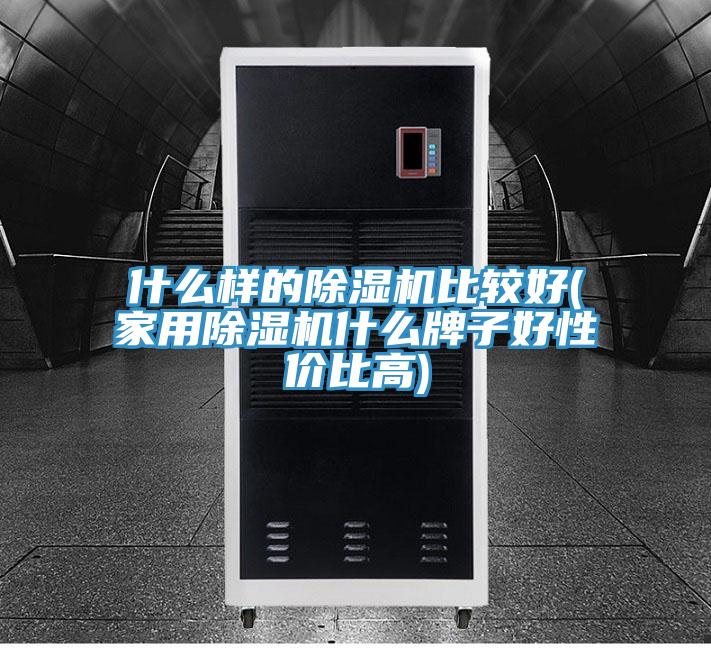 什么样的除湿机比较好(家用除湿机什么牌子好性价比高)