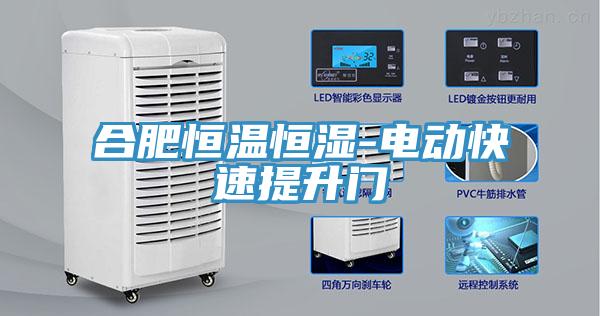 合肥恒温恒湿-电动快速提升门