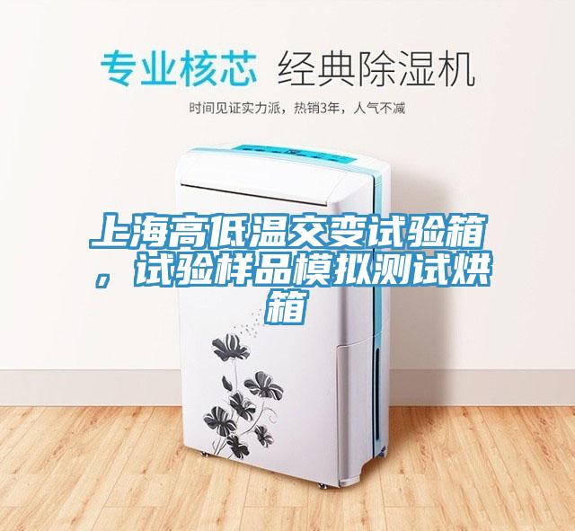 上海高低温交变试验箱，试验样品模拟测试烘箱