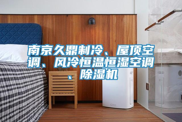 南京久鼎制冷、屋顶空调、风冷恒温恒湿空调、除湿机