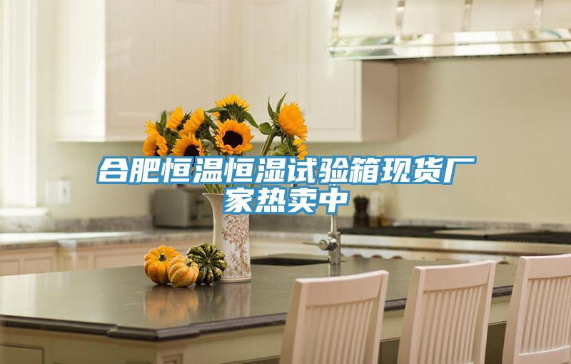 合肥恒温恒湿试验箱现货厂家热卖中