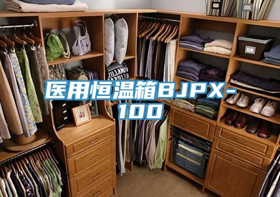 医用恒温箱BJPX-100