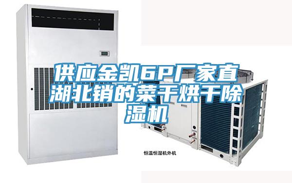 供应金凯6P厂家直湖北销的菜干烘干除湿机