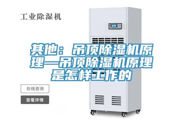 其他：吊顶除湿机原理—吊顶除湿机原理是怎样工作的